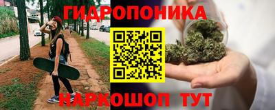 соль ск Кингисепп